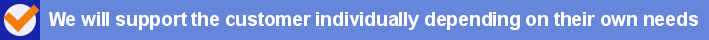 We will support the customer individually depending on their own needs