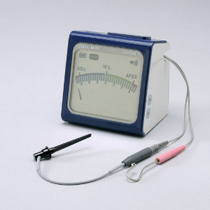 オサダアピット11