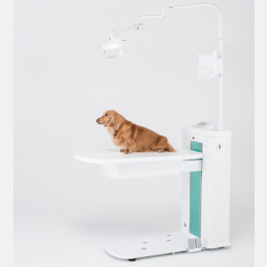 マーブクリーン6